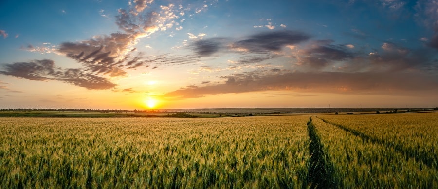 Plano Safra pode beneficiar produtor rural que usa energia solar